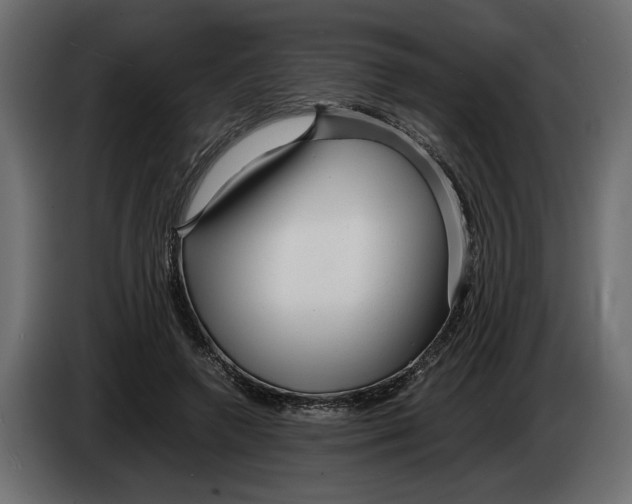 X0000083600546200703021916