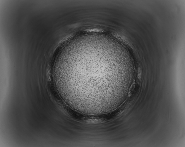 X0000083600547200703021916