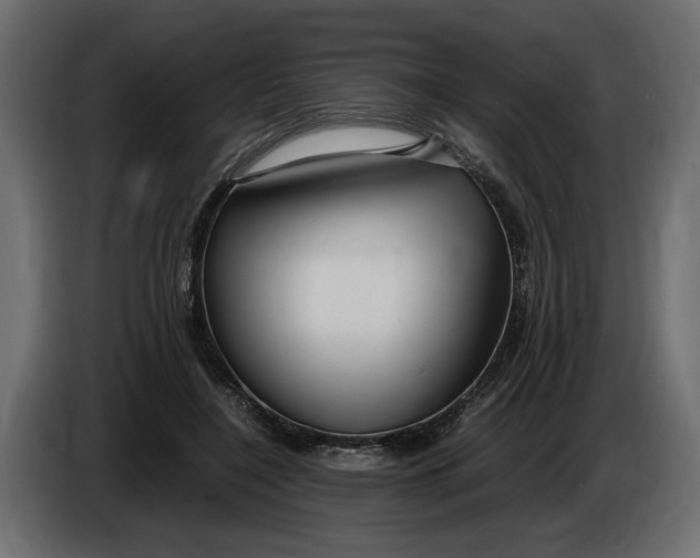 X0000083600548200703021916