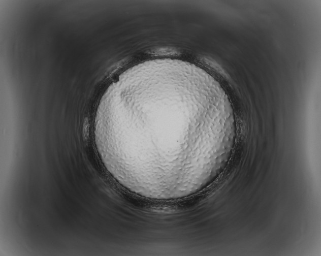 X0000083600549200703021916