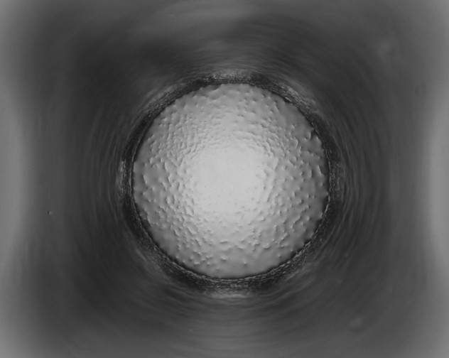 X0000083600550200703021916