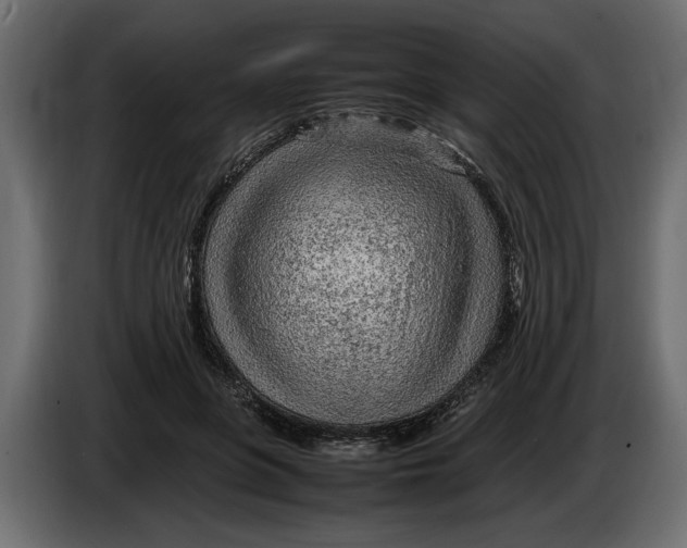 X0000083600551200703021916