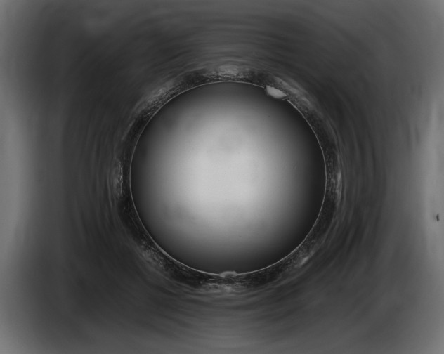 X0000083600552200703021916