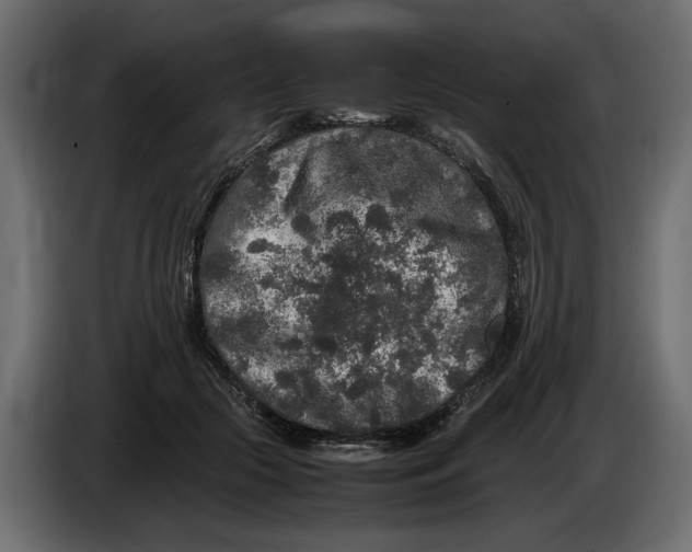 X0000083600553200703021916