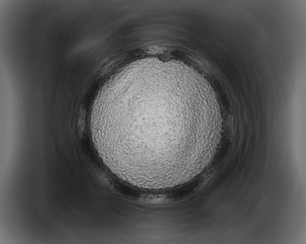 X0000083600554200703021916