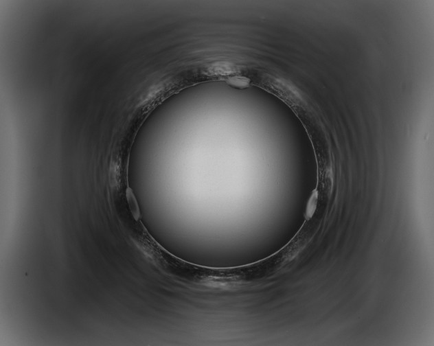 X0000083600556200703021916