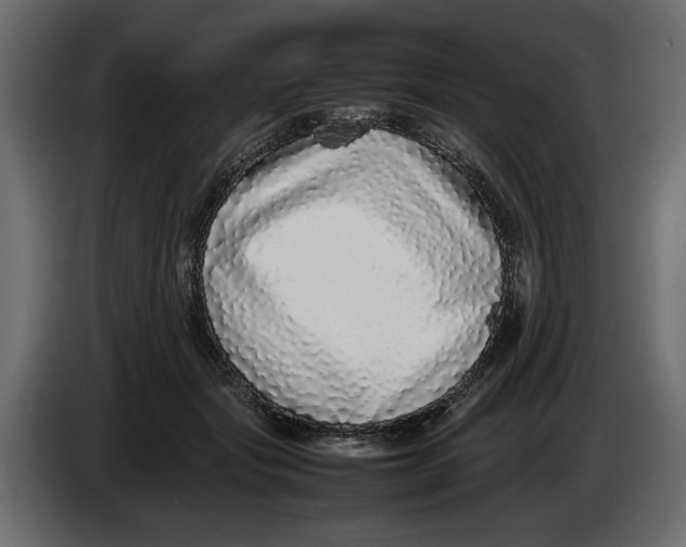 X0000083600557200703021916