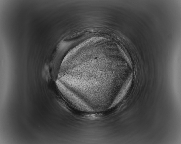 X0000083600558200703021916