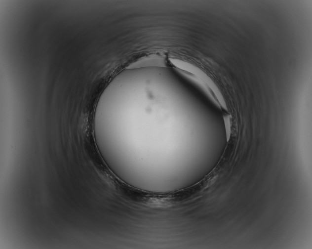 X0000083600560200703021916