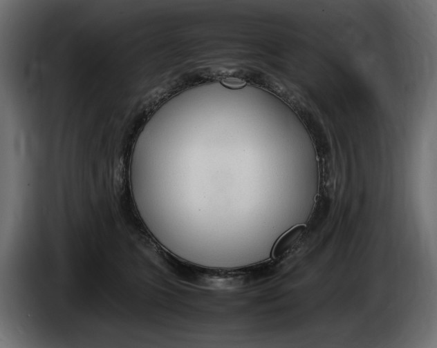 X0000083600563200703021916