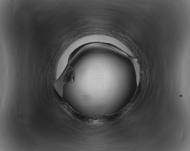 X0000083600564200703021916