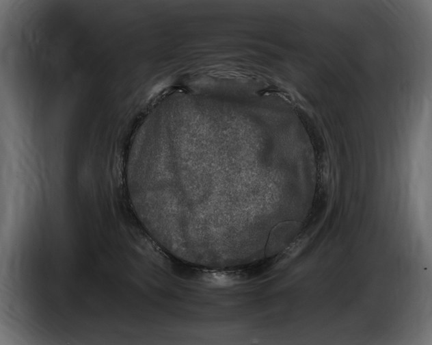 X0000083600565200703021916