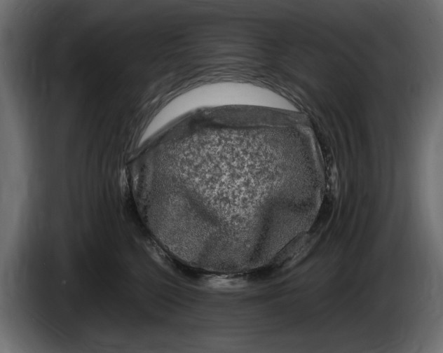 X0000083600568200703021916