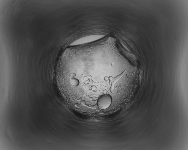 X0000083600569200703021916