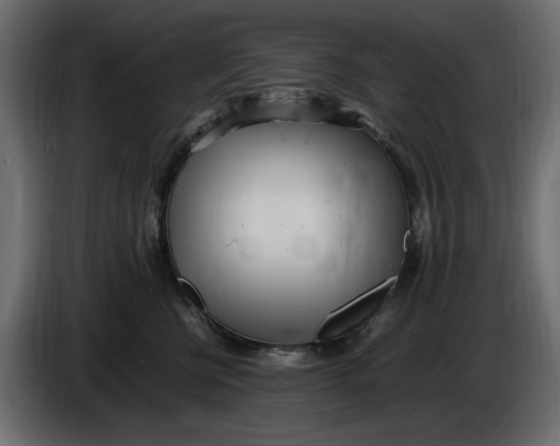 X0000083600570200703021916