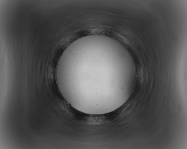 X0000083600571200703021916