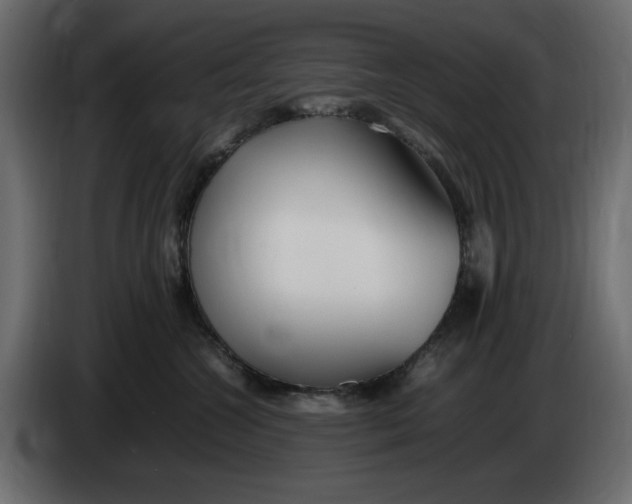 X0000083600572200703021916