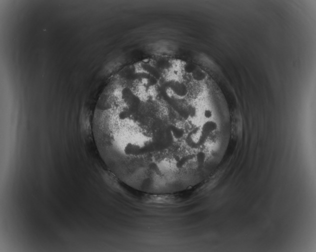 X0000083600573200703021916