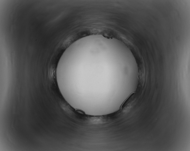 X0000083600574200703021916