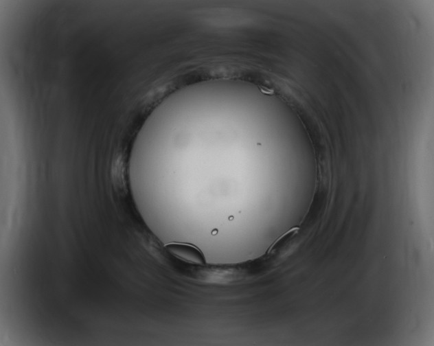 X0000083600575200703021916