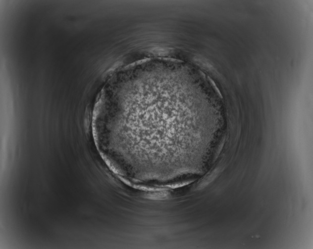 X0000083600576200703021916