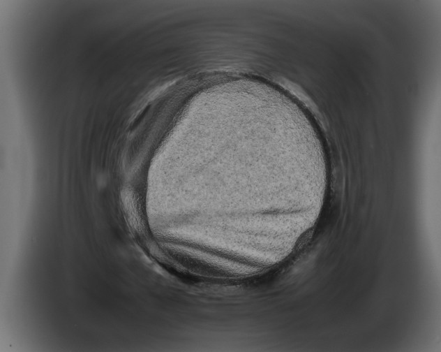 X0000083600577200703021915