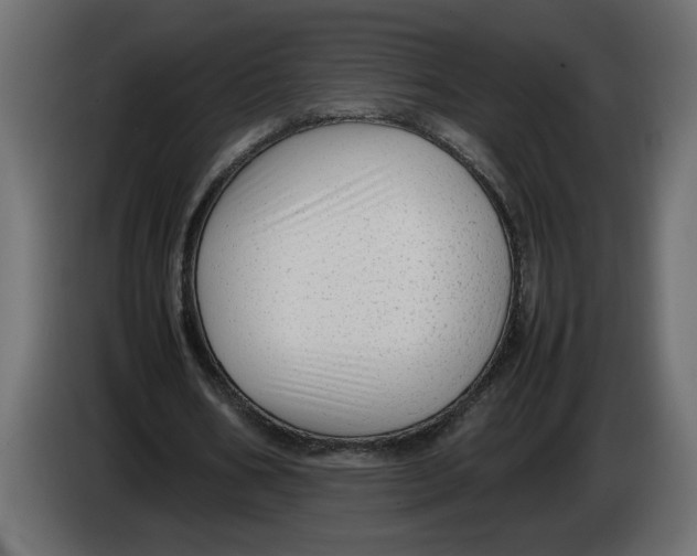 X0000083600578200703021915