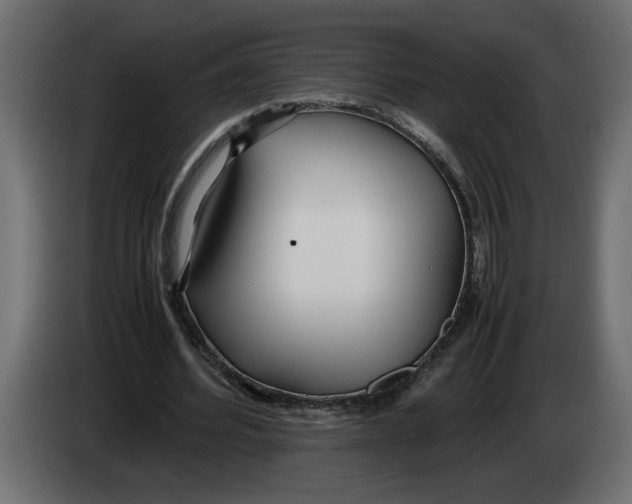 X0000083600580200703021915