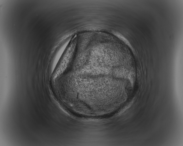 X0000083600581200703021915