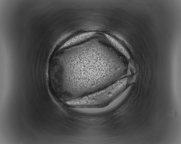 X0000083600582200703021915