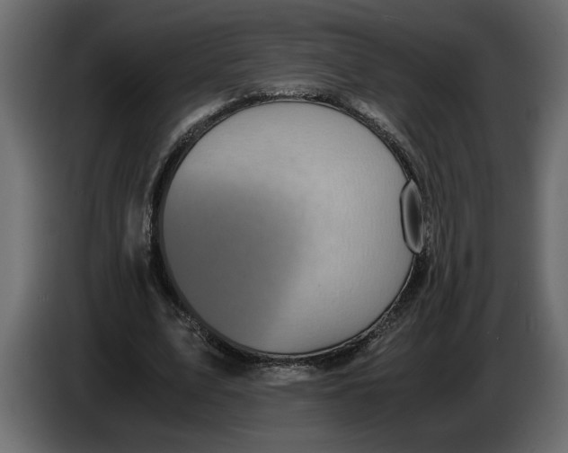 X0000083600583200703021915