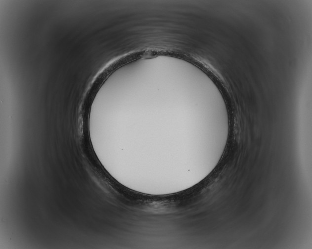 X0000083600584200703021915