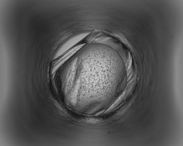 X0000083600585200703021915