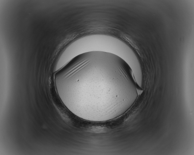 X0000083600586200703021915