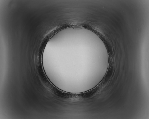 X0000083600587200703021915