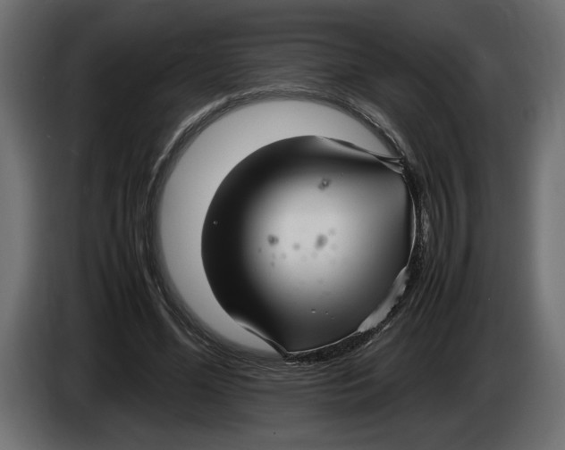 X0000083600588200703021915