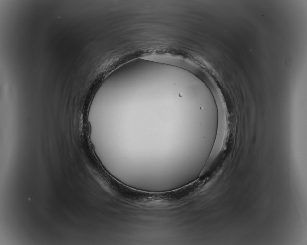 X0000083600589200703021915