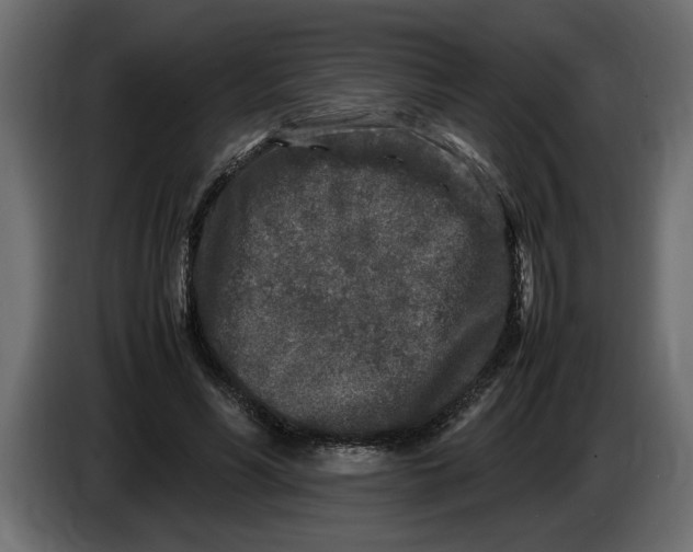 X0000083600590200703021915