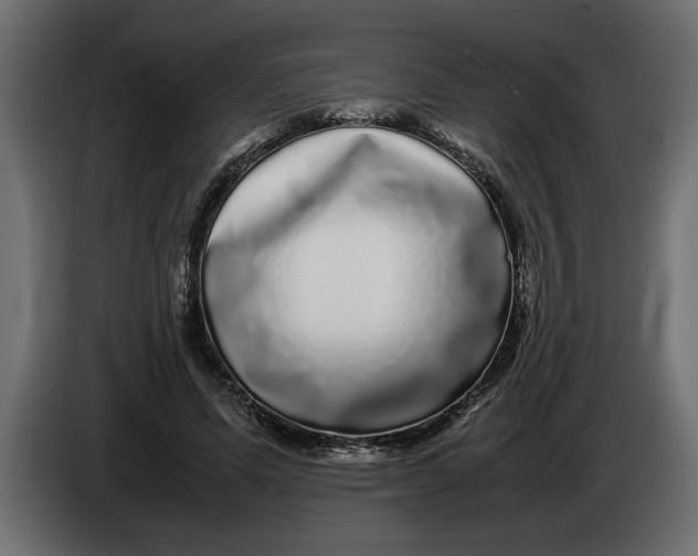 X0000083600591200703021915