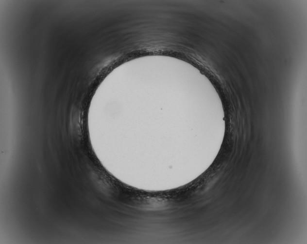 X0000083600592200703021915