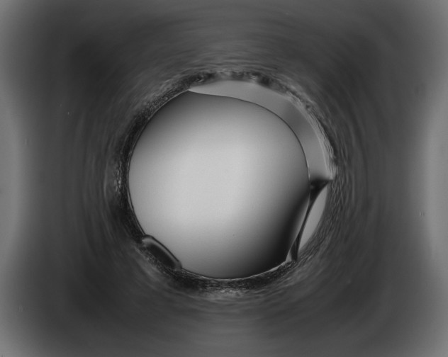 X0000083600593200703021915