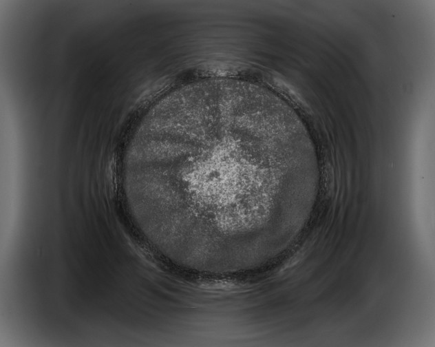 X0000083600594200703021915