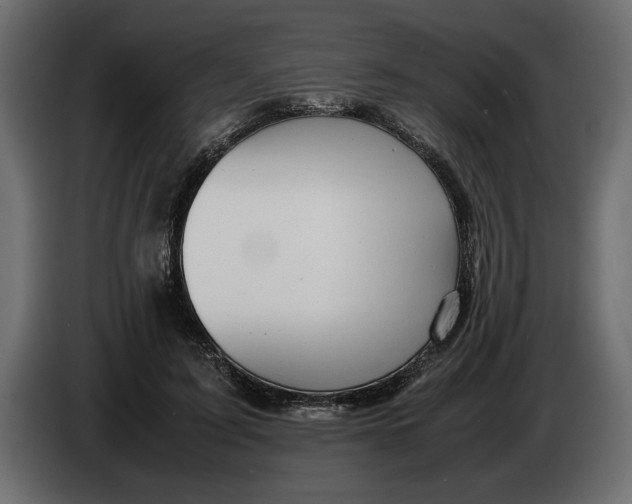 X0000083600595200703021915