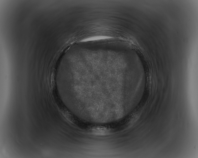 X0000083600598200703021915