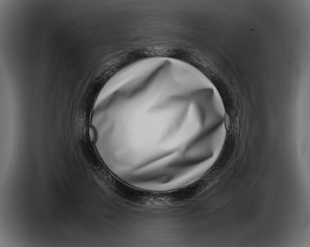 X0000083600599200703021915