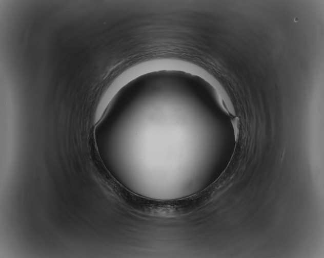 X0000083600600200703021915