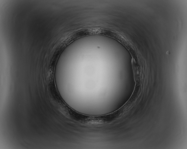 X0000083600601200703021915