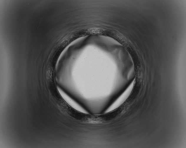 X0000083600603200703021915