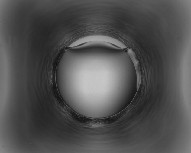 X0000083600604200703021915