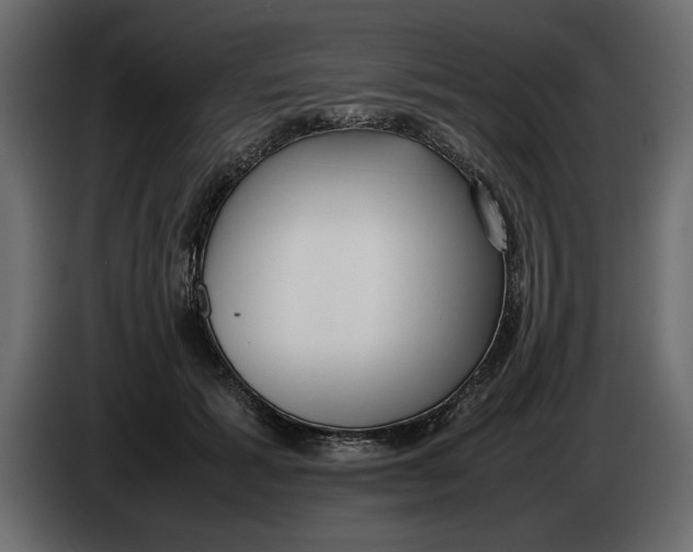 X0000083600605200703021915